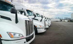 Fleet Compliance